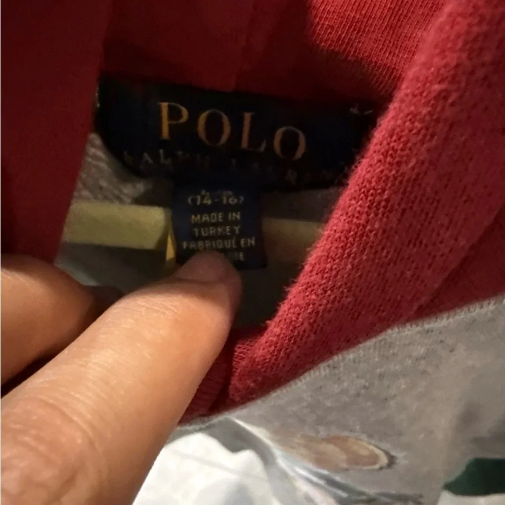 Polo by Ralph Lauren Gray Hoodie with Red Hood and Blue & Green Sleeves